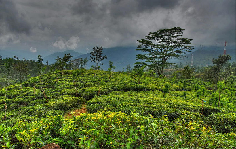  little Adams peak